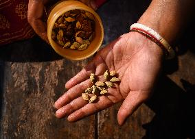 Dried Cardamom Seeds - Indian Spice