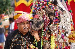 Closing Ceremony Of Annual Camel Fair In Pushkar - India