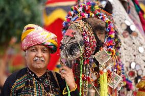 Closing Ceremony Of Annual Camel Fair In Pushkar - India