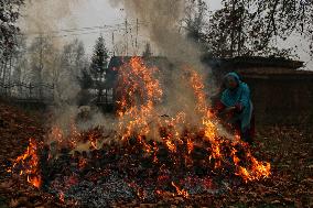 Kashmiri People Burns Dry  Leaves  To Produce Charcoal To Use As Combustibles