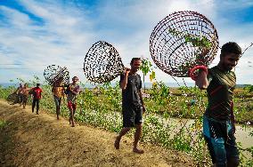 Rural Bamboo Trap Polo Fishing Festival - Bangaldesh