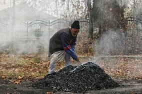 Kashmiri People Burns Dry Leaves To Produce Charcoal - India