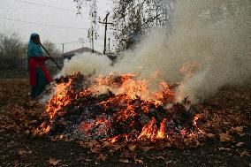 Kashmiri People Burns Dry Leaves To Produce Charcoal - India