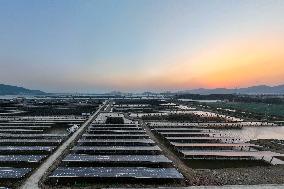 Fishery-solar Hybrid Project in Fuqing