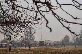 Cricket In Autumn Season In Kashmir