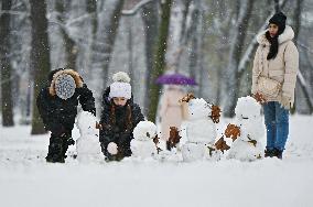 Snowfall in Lviv