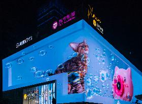 China Largest Naked Eye 3D Felis Catus
