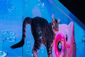 China Largest Naked Eye 3D Felis Catus