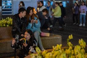 Internet Celebrity Industry in Chongqing