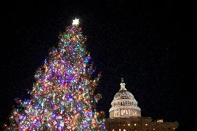 US Capitol Tree Lighting Ceremony - Washington
