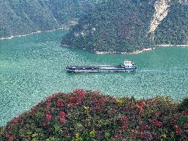 Yangtze River Cargo Ship