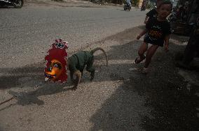 Street Monkey Mask Circus In Indonesia