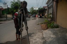 Street Monkey Mask Circus In Indonesia