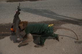 Street Monkey Mask Circus In Indonesia