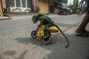 Street Monkey Mask Circus In Indonesia