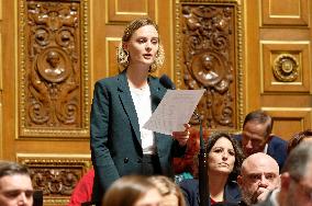 Session Of Questions To The Government At The French Senate In Paris