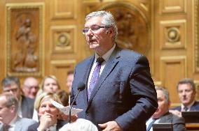 Session Of Questions To The Government At The French Senate In Paris