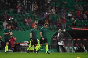 Portugal V Iceland: Group J - UEFA EURO 2024 European Qualifiers