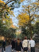 Lingyin Temple in Hangzhou