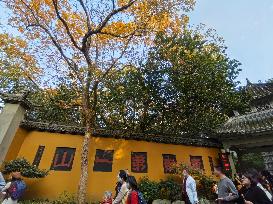 Lingyin Temple in Hangzhou