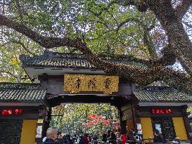 Lingyin Temple in Hangzhou