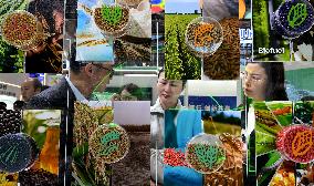 CHINA-BEIJING-SUPPLY CHAIN EXPO-GREEN AGRICULTURE CHAIN (CN)