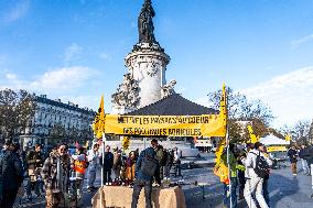 Beekeepers Demonstration - Paris