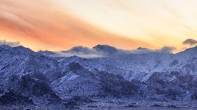Xinhua Headlines: Nature thrives in Xinjiang's mountain reserve amid enhanced conservation efforts