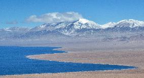 Xinhua Headlines: Nature thrives in Xinjiang's mountain reserve amid enhanced conservation efforts