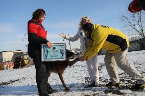 German Shepherd Karbon sets record of Ukraine