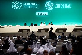 COP28 In Dubai High Level Segment