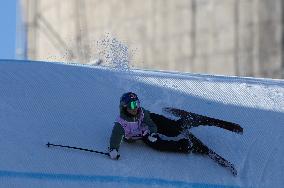 (SP)CHINA-BEIJING-FREESKI-BIG AIR WORLD CUP-FINAL(CN)