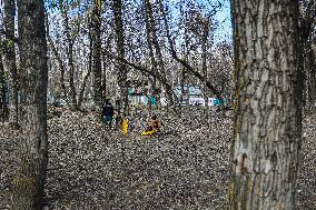 Kids Playing Cricket In Kashmir