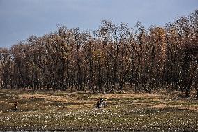 Dried Portion Of Wetland In Kashmir
