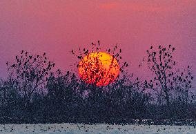 Hongze Lake Wetland National Nature Reserve in Suqian