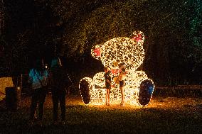 SOUTH AFRICA-JOHANNESBURG-ZOO-FESTIVAL OF LIGHTS