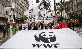 Protest Against The Construction Plan For The Messina Bridge