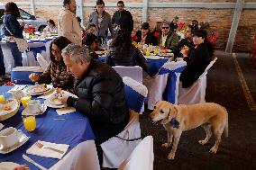 Graduation And Retirement Of Guide Dogs In Mexico