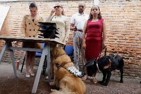 Graduation And Retirement Of Guide Dogs In Mexico