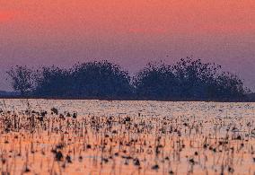 Hongze Lake Wetland National Nature Reserve in Suqian