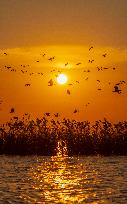 Hongze Lake Wetland National Nature Reserve in Suqian