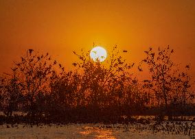 Hongze Lake Wetland National Nature Reserve in Suqian