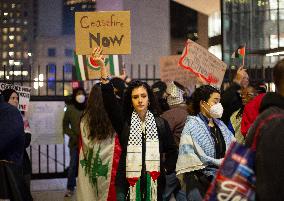 Pro-Palestinian Demonstration At City Hall Christmas Festival In Houston