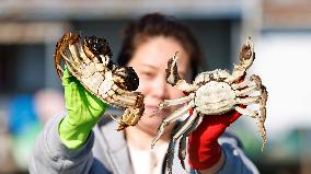 A Hairy Crab Breeding Base in Suqian