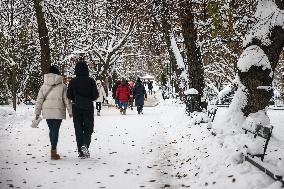 Intense Snowfall In Krakow, Poland