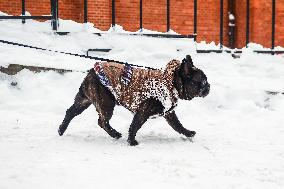 Intense Snowfall In Krakow, Poland