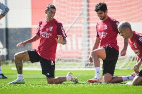 SLBenfica training