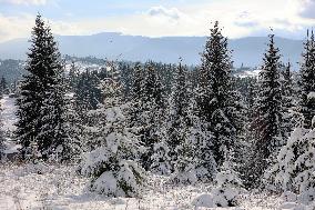 Winter in Ukrainian Carpathians