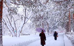 Heavy Snow Hit Altay