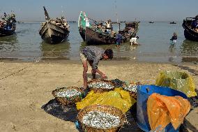 BANGLADESH-COX'S BAZAR-FISH LANDING